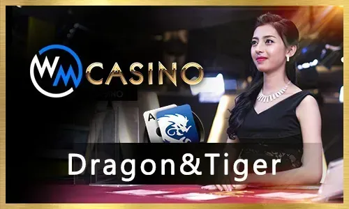 Immersive Live Casino Experience